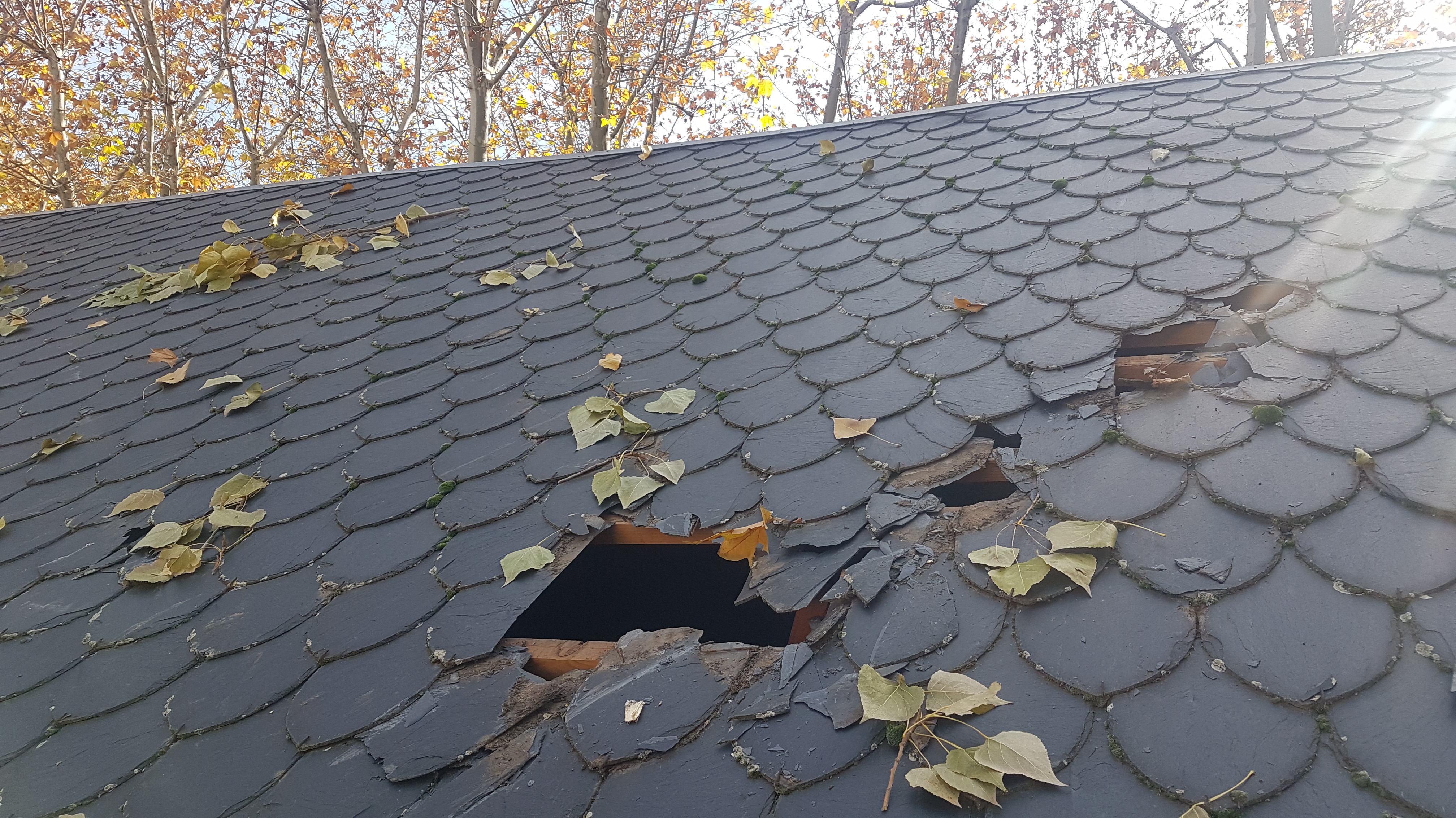 reparación de tejados de pizarra hojas
