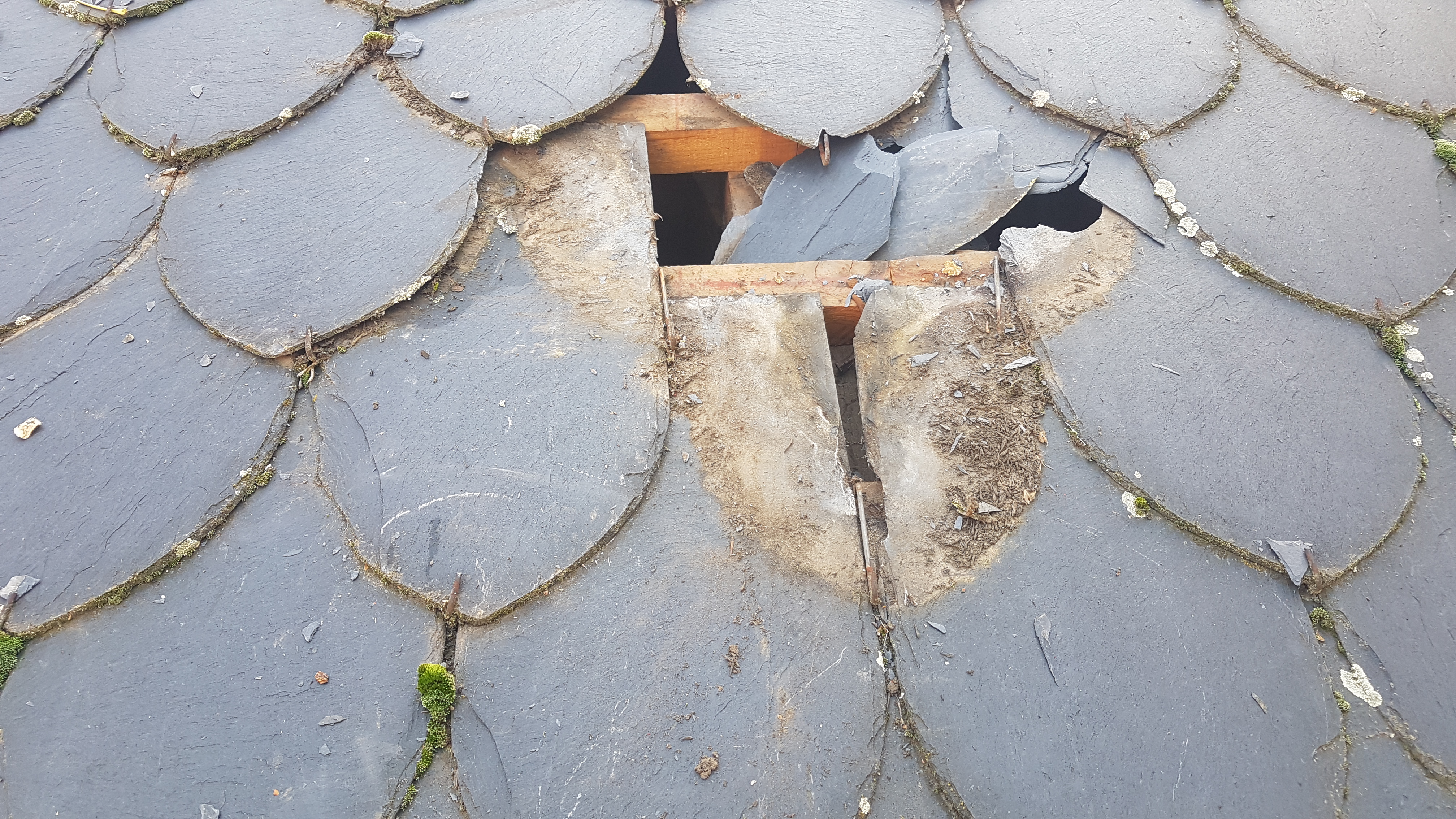 reparación de tejados de pizarra ramas